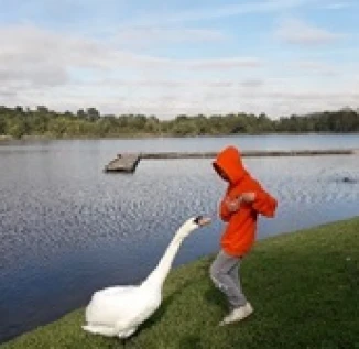 Lower School Lake